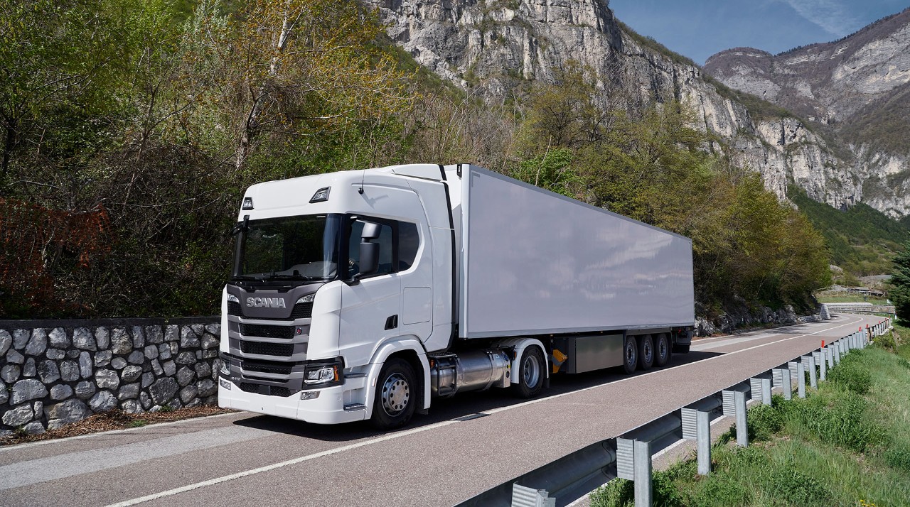 YANG TRANSPORTATION LLC